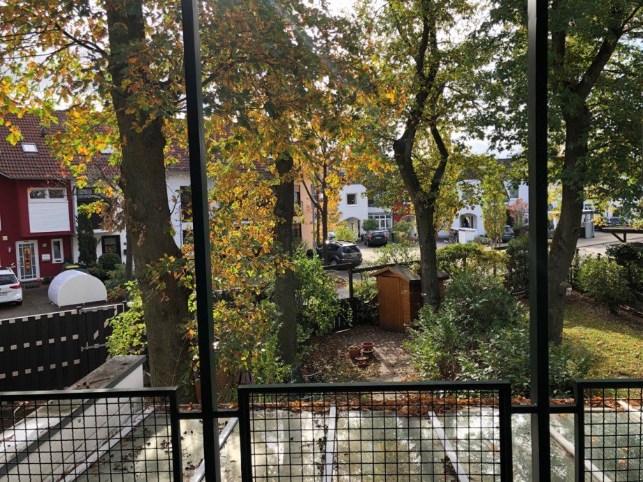 Blick in den Garten Einfamilienhaus Sankt Augustin