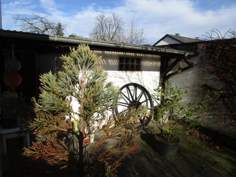 R�ckseite der Garage mit Zugang Einfamilienhaus Sankt Augustin