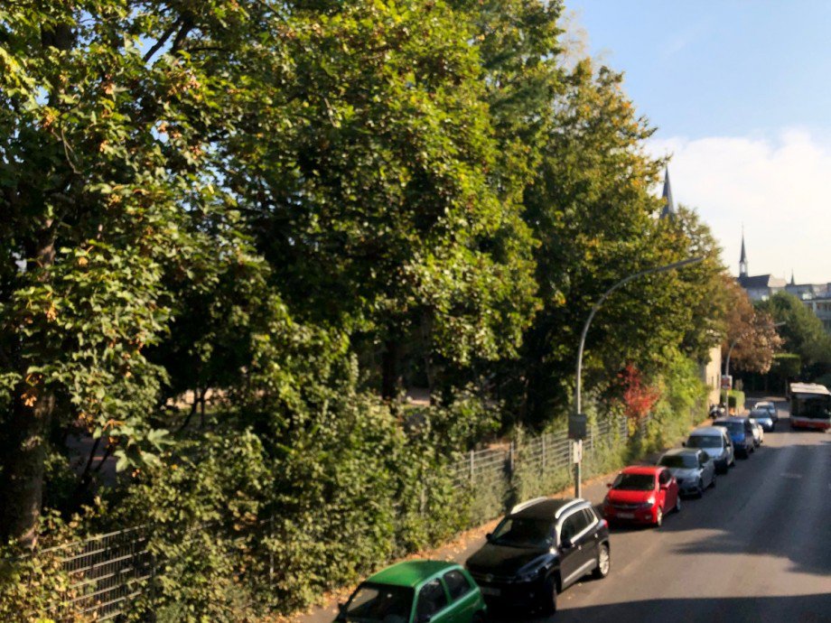 Wohnumgebung Einfamilienhaus Bonn / Endenich