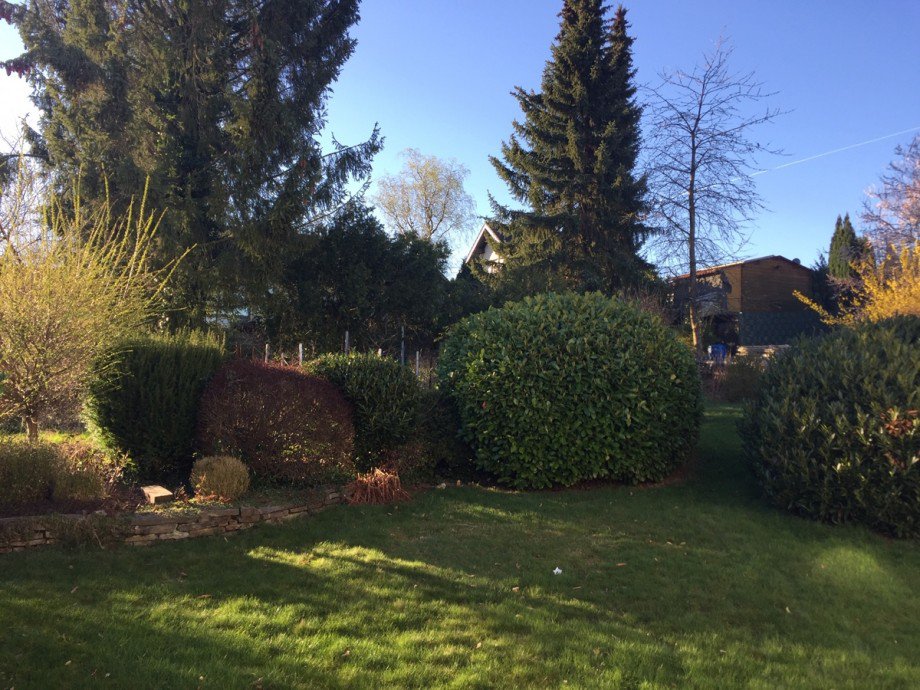 Gartenansicht Einfamilienhaus Much / Marienfeld