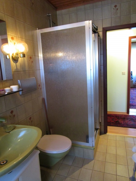 Bad / Dusche / WC Einfamilienhaus Sankt Augustin