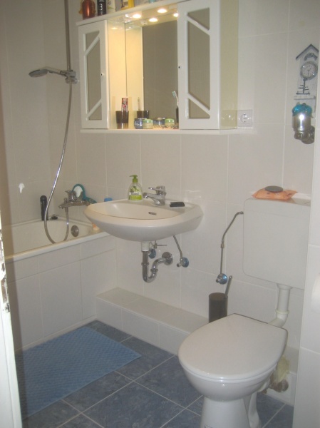 Ansicht 2 Bad Etagenwohnung Sankt Augustin