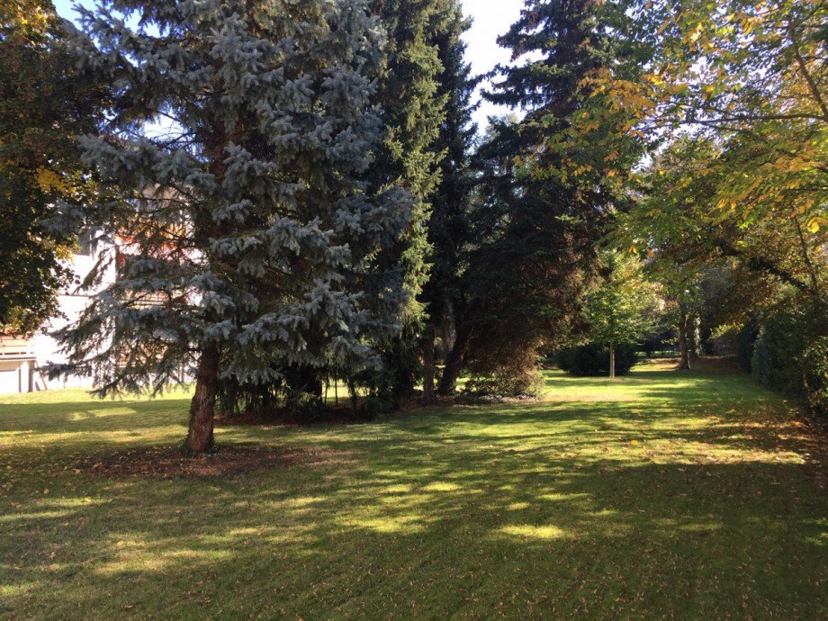 Grundst�ck Etagenwohnung Sankt Augustin