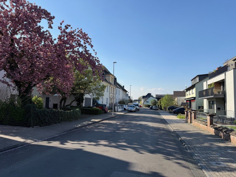 Wohnumgebung Einfamilienhaus Bonn