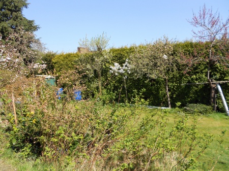 Garten Einfamilienhaus Sankt Augustin