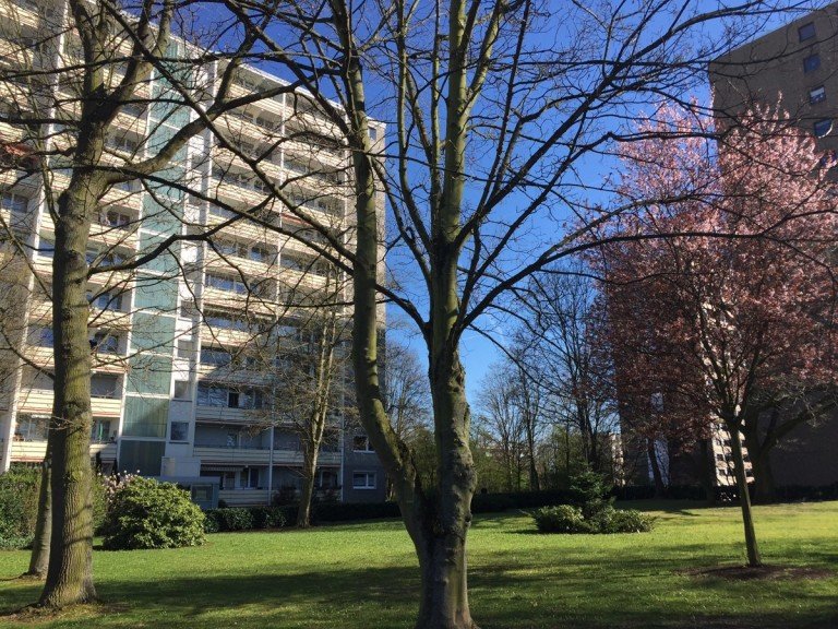 Umgebung Sankt Augustin / Niederpleis - Niederpleis Erdgeschosswohnung SANKT AUGUSTIN, sch�ne helle 3-Zimmerwohnung im Erdgeschoss, ca. 82 m� Wfl., Einbauk�che, Stellplatz