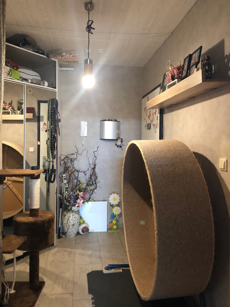 Flur - Diele Etagenwohnung Sankt Augustin