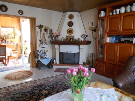 Wohnzimmer mit Kamin Einfamilienhaus Sankt Augustin