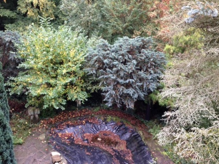 Ausblick Mehrfamilienhaus Lohmar