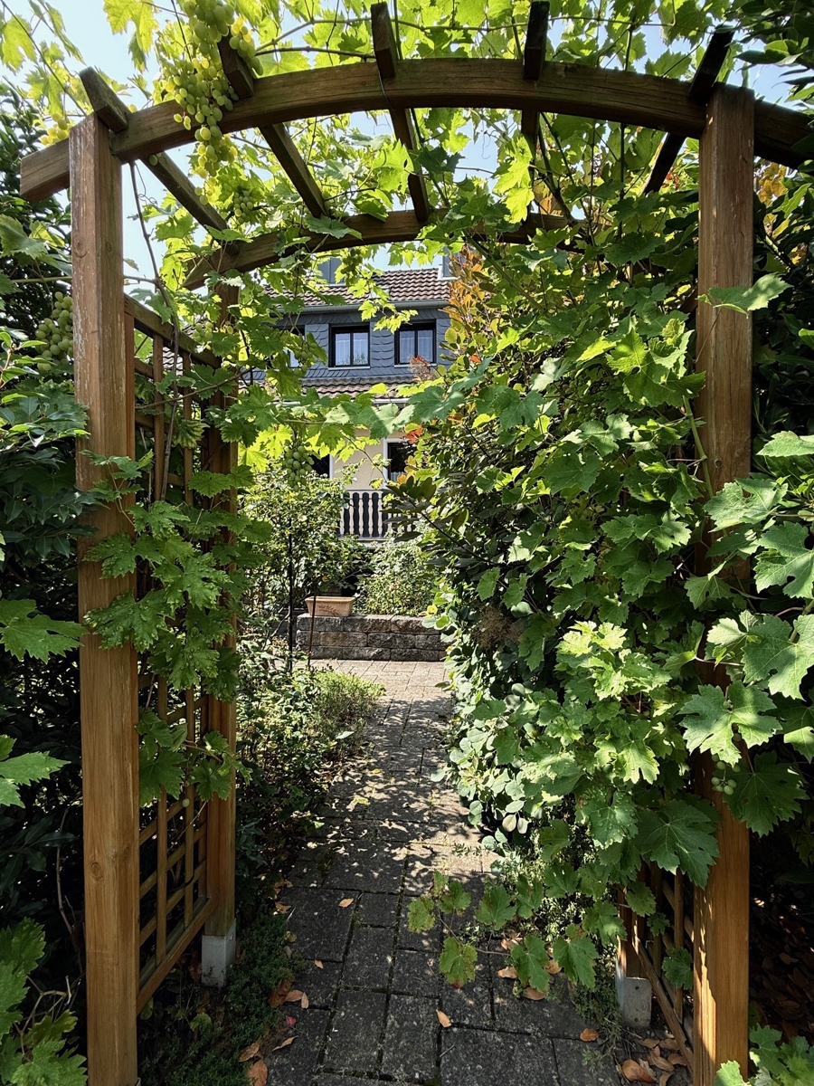 Weg zum Garten Einfamilienhaus Bonn