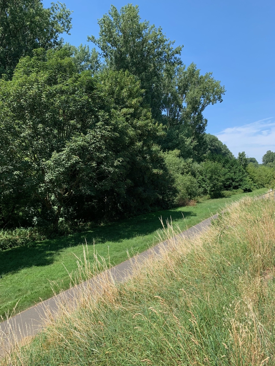 Weg zum Spielplatz und Fahrradweg Doppelhaush�lfte Niederkassel
