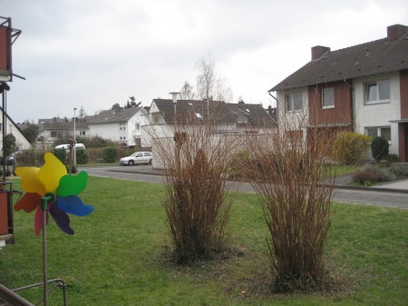 Gartenansicht Etagenwohnung Bonn