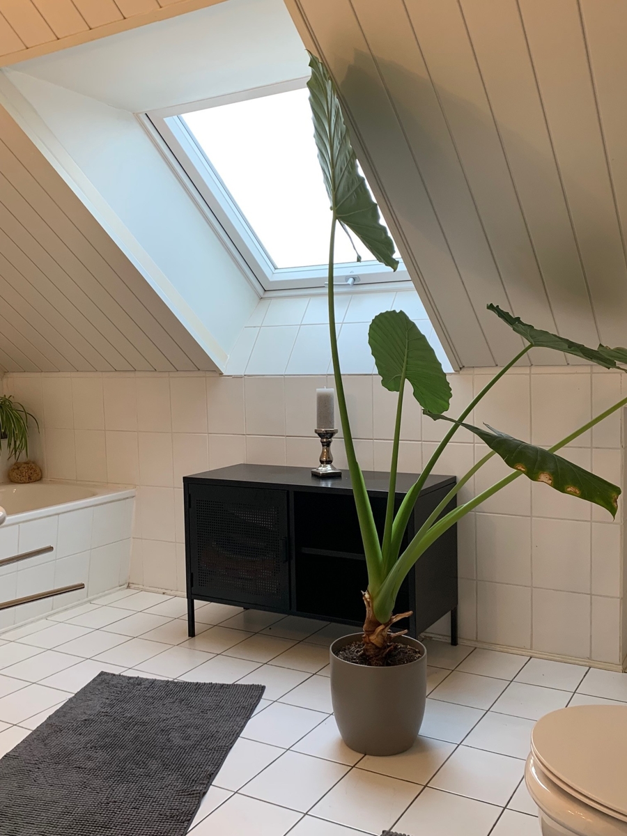 Ansicht Badezimmer mit Wanne und Dusche Einfamilienhaus Sankt Augustin