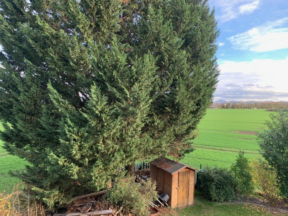 . Einfamilienhaus Sankt Augustin