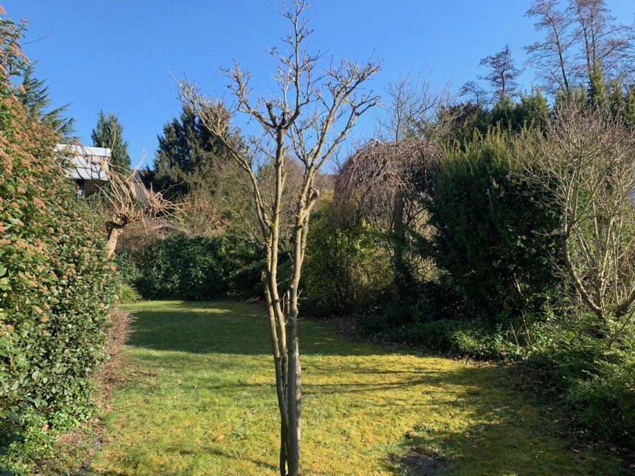 Ansicht Garten Einfamilienhaus Sankt Augustin