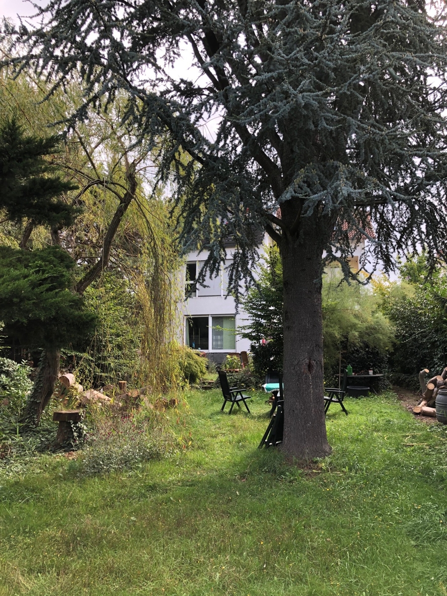 Ansicht R�ckseite des Hauses Etagenwohnung Bad Honnef