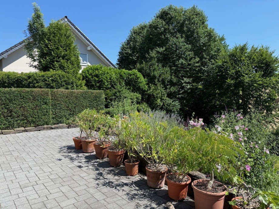 gro�e Terrasse Einfamilienhaus Hennef