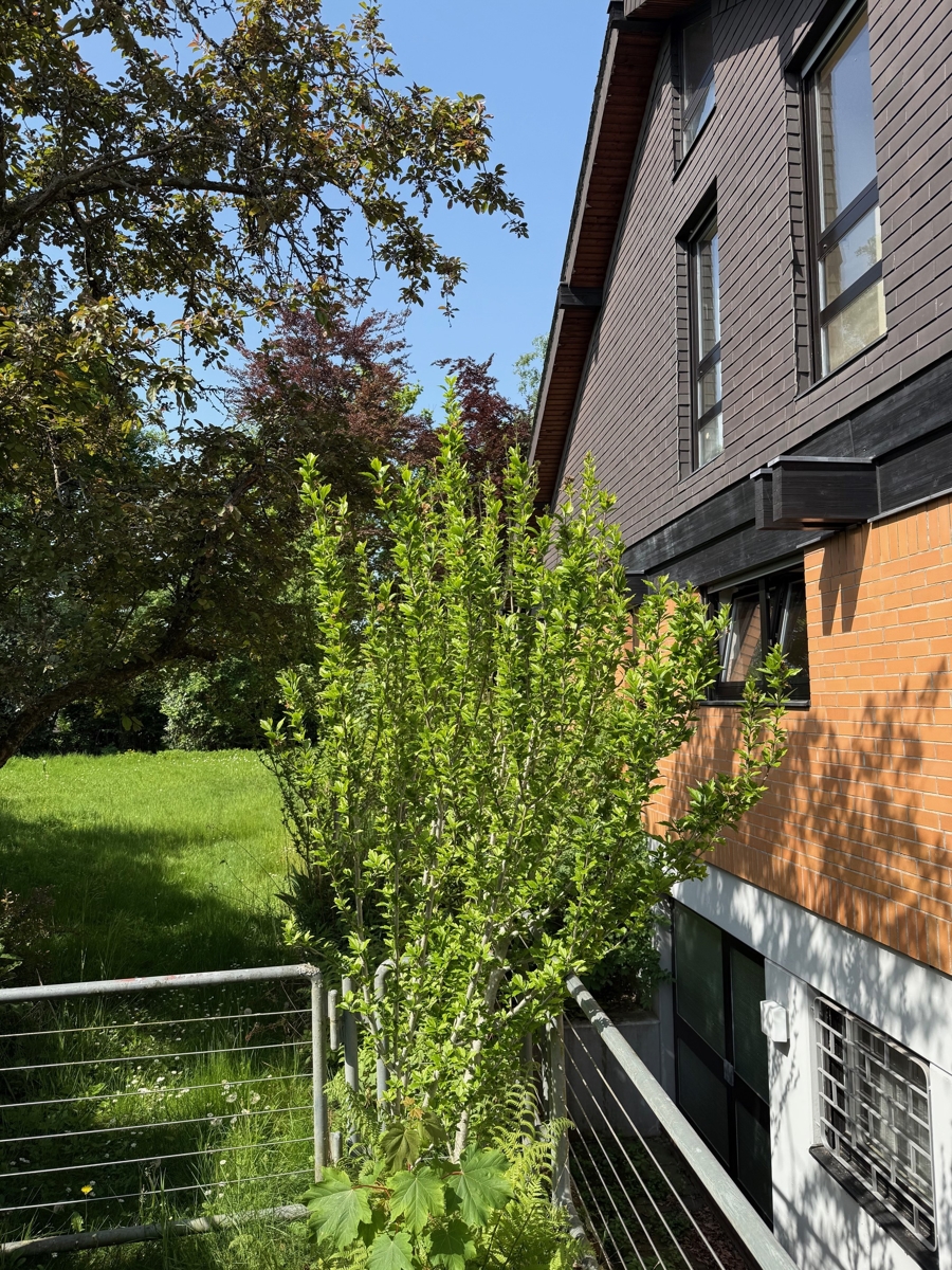 Seitenansicht mit Zugang zur ELW Zweifamilienhaus Sankt Augustin