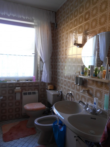 Tageslichtbadezimmer Einfamilienhaus Sankt Augustin