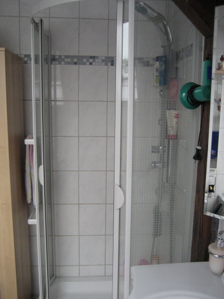 Badezimmer - Duschansicht Etagenwohnung Siegburg