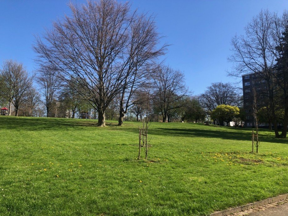 . Etagenwohnung Sankt Augustin