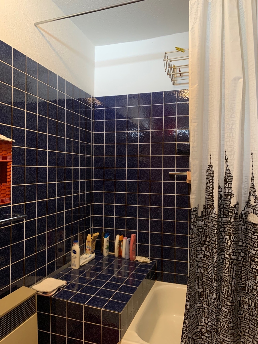 Ansicht Dusche - WC im EG Einfamilienhaus Sankt Augustin