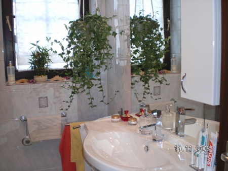 Badansicht 2 Reihenhaus Sankt Augustin