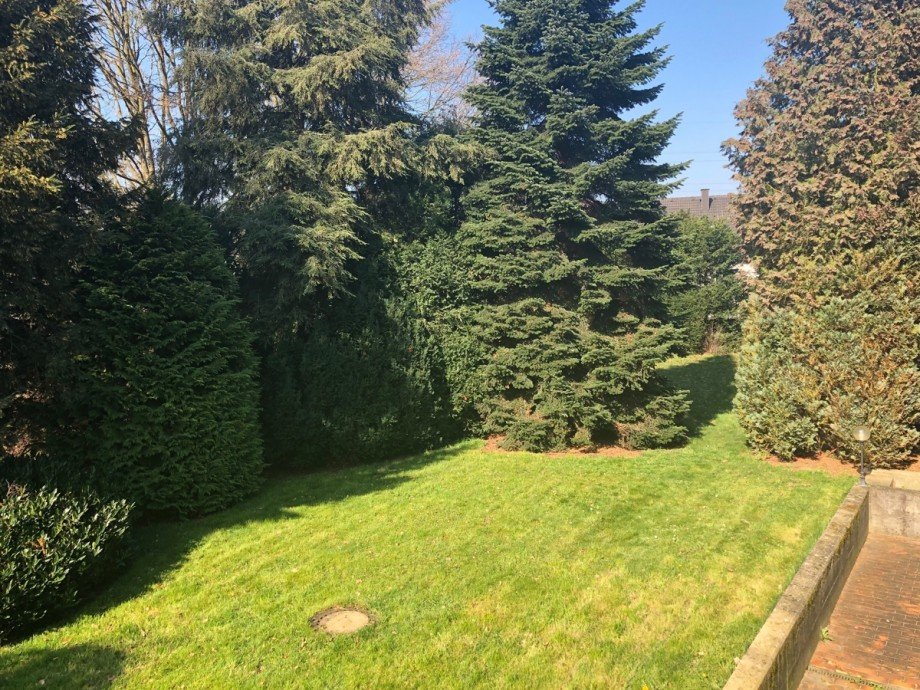 Gartenansicht Einfamilienhaus Sankt Augustin