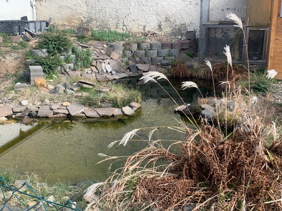 Teich Doppelhaush�lfte Sankt Augustin