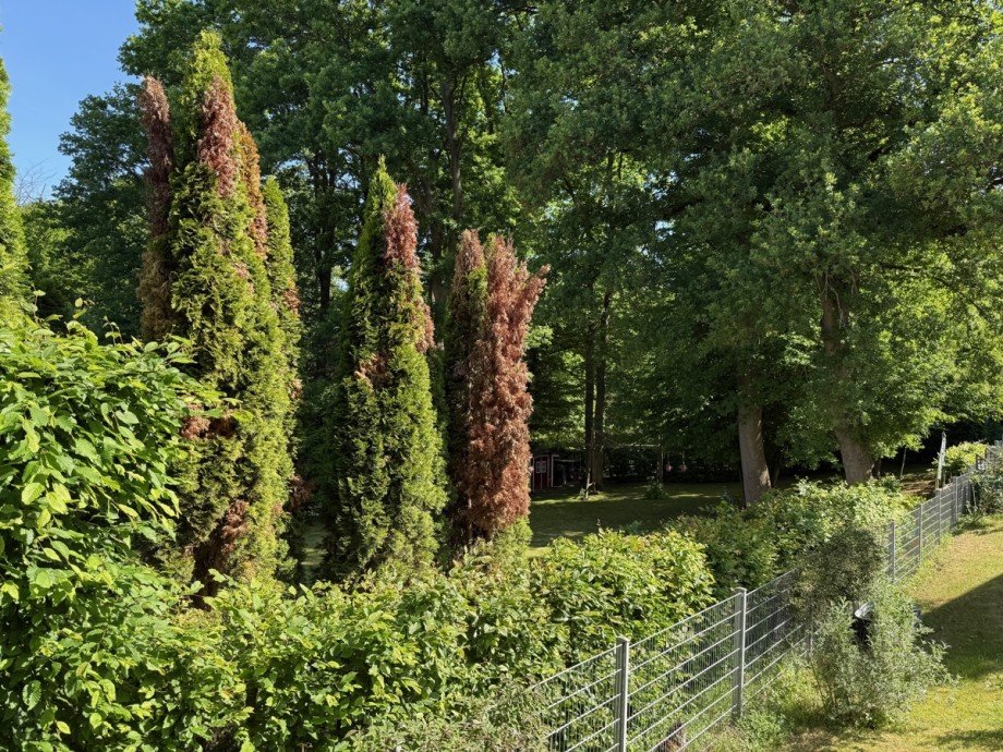 . Doppelhaush�lfte Sankt Augustin