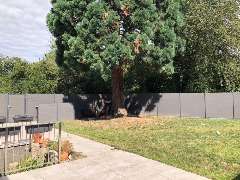 Ansicht Terrasse mit Garten Bungalow Troisdorf-Sieglar