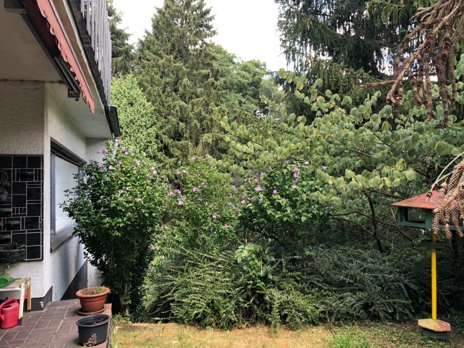 Gartenansicht Einfamilienhaus Bonn