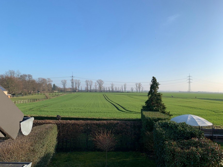 Blick ins Gr�ne Doppelhaush�lfte Niederkassel