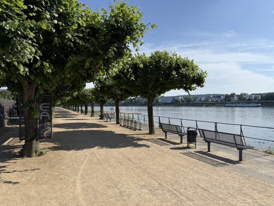 . Etagenwohnung Bonn