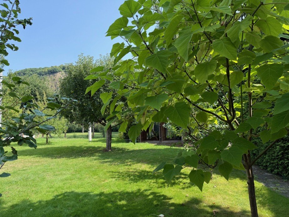 Garten Einfamilienhaus Bonn