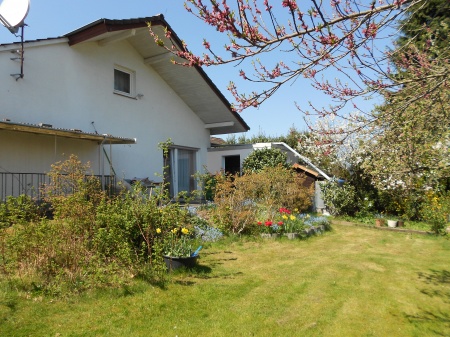 Gartenansicht Einfamilienhaus Sankt Augustin