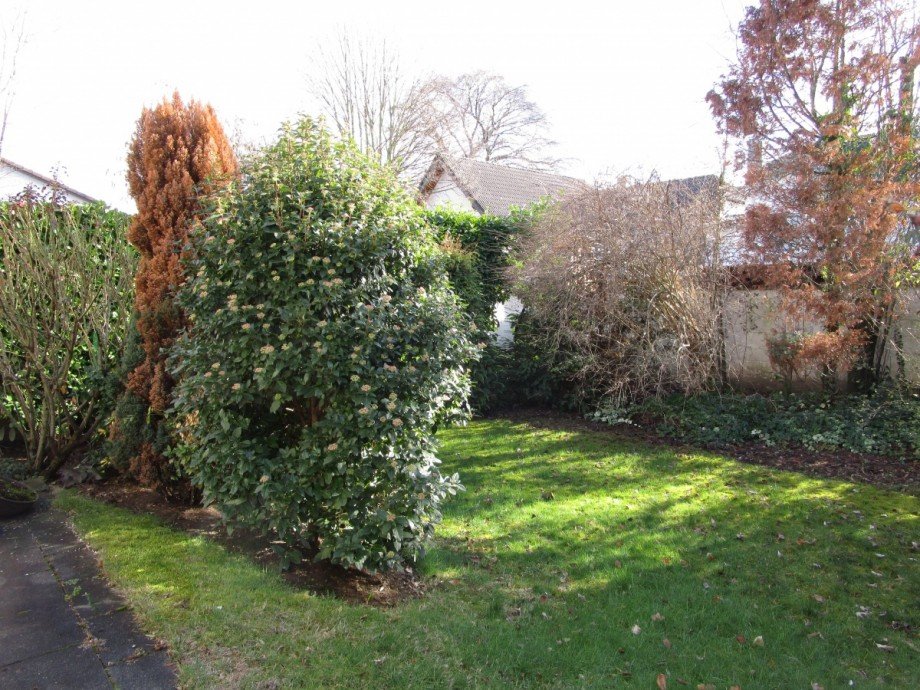 Gartenansicht Einfamilienhaus Sankt Augustin
