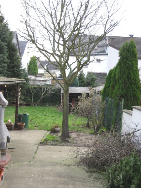 Gartenansicht 1 Doppelhaush�lfte Troisdorf