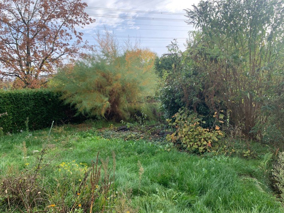 Garten Einfamilienhaus Alfter / Oedekoven