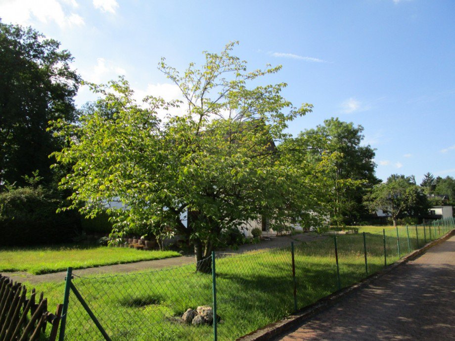 Blick von der Strasse Doppelhaush�lfte Siegburg