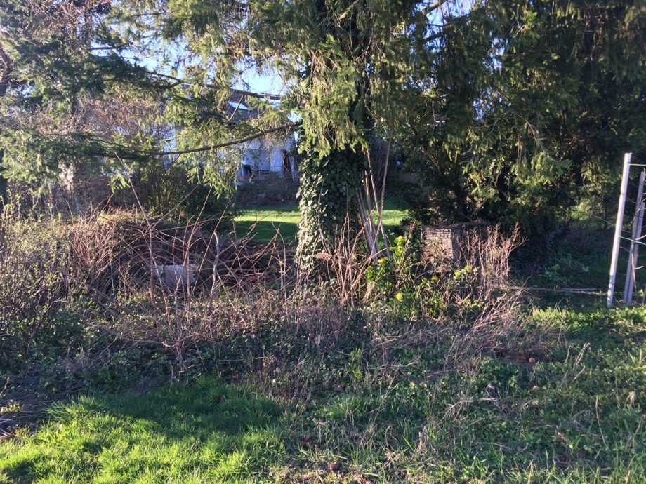 Gartenansicht Einfamilienhaus Much / Marienfeld