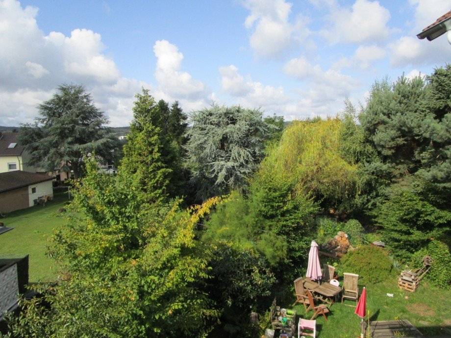 Blick ins Gr�ne Etagenwohnung Bad Honnef
