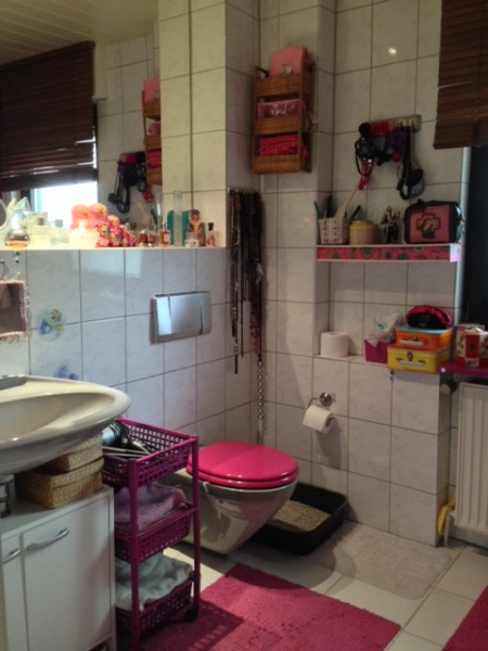 Badezimmer Erdgeschosswohnung Sankt Augustin