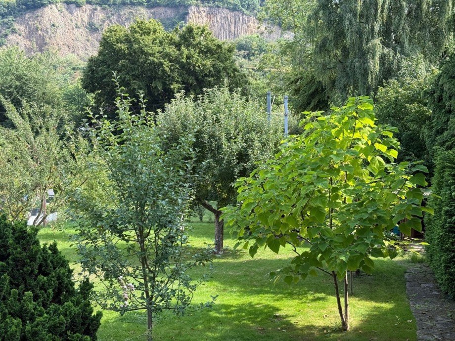 weitere Ansicht vom Grundst�ck Einfamilienhaus Bonn