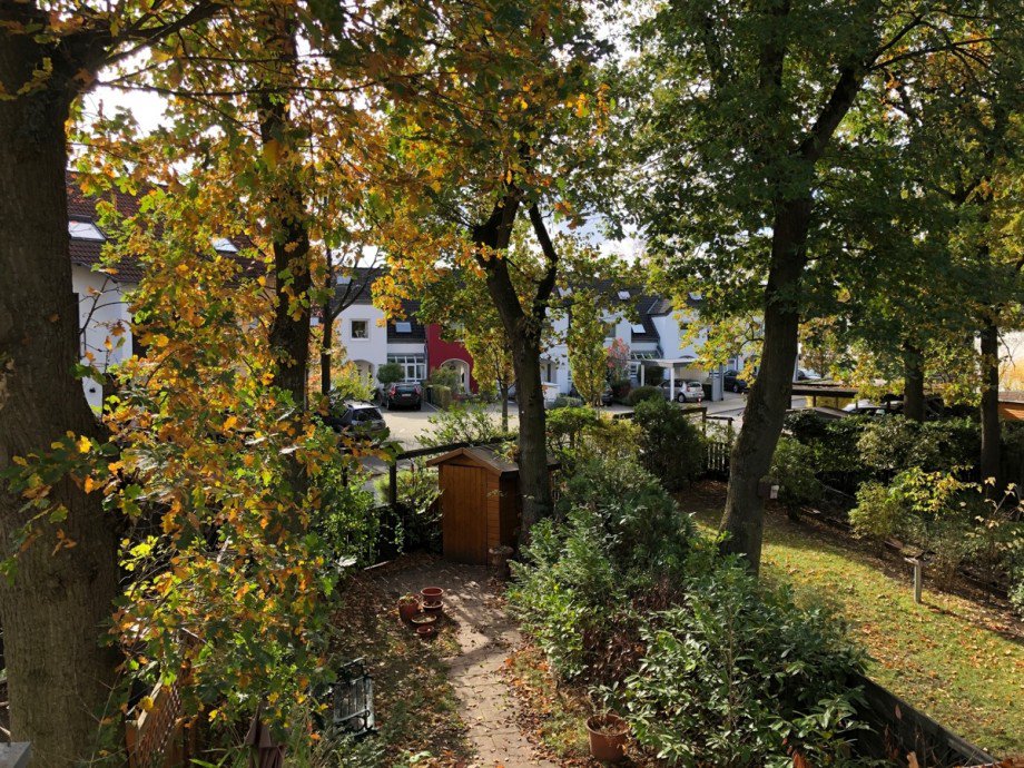Gartenansicht Einfamilienhaus Sankt Augustin