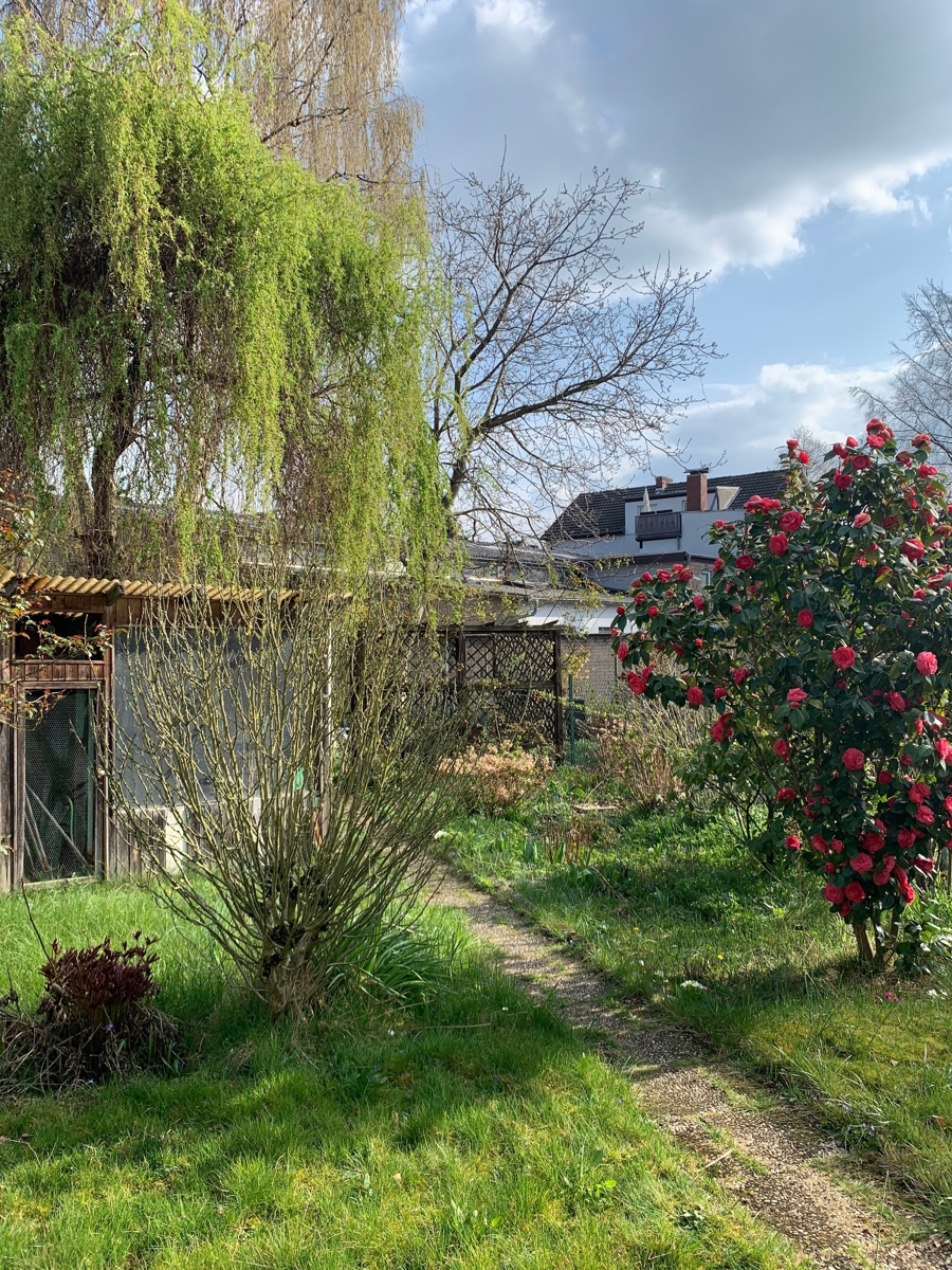 Garten Einfamilienhaus Siegburg