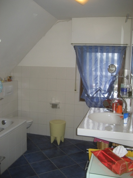Ansicht 2 Bad OG Einfamilienhaus Sankt Augustin