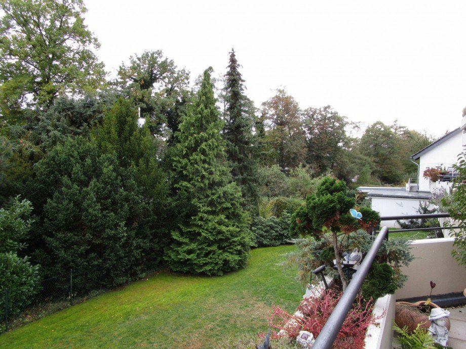 Blick in den Garten Etagenwohnung Sankt Augustin
