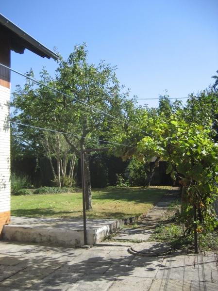 Gartenansicht 2 Einfamilienhaus Neunkirchen-Seelscheid / Breitscheid