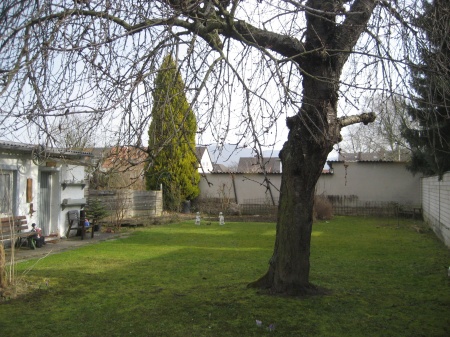 Gartenansicht 2 Bonn Erdgeschosswohnung BONN, sch�ne gro�z�gige 2 Zimmer- Wohnung, ca. 76 m� Wfl., gro�es Bad, Gartenbenutzung und Garage